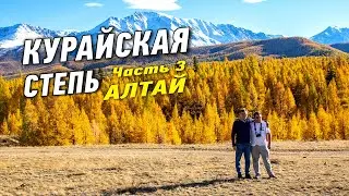 Курайская степь. Автопутешествие на Алтай. Часть 3
