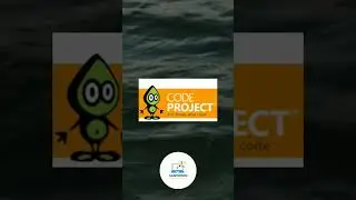 Software developer solutions website 