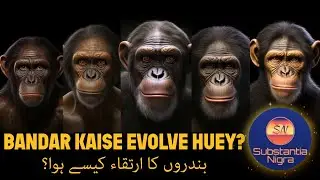 Which Animal did the Apes Evolve from? Ft. Substantia Nigra