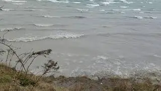 Lake Erie. 12.11.2021(1)