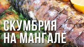 Скумбрия на мангале