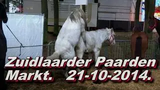Zuidlaarder Paardenmarkt 21- 10- 2014.