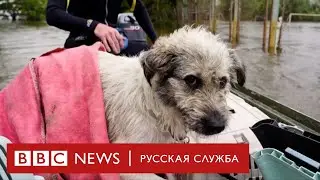 Разрушение Каховской ГЭС. Последствия