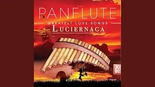 LUCIERNAGA