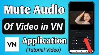 How to Mute Audio of a Video in VN Video Editor App