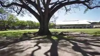 One Sunny Afternoon | Silliman University | Dumaguete City