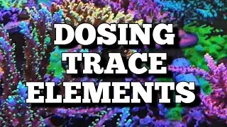 dosing trace