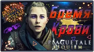🐀Бремя Крови (глава 3) - A Plague Tale Requiem➤Game 2022➤Обзор на русском➤➤STREAM