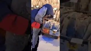 Как коротко рассказать о жизни в Якутске👍 