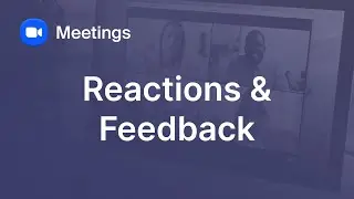 Meeting Reactions and Nonverbal Feedback