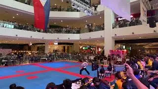 2023 National CPJ Freestyle Poomsae - Jesseray Lucas Frantilla Iloilo Poomsae Team