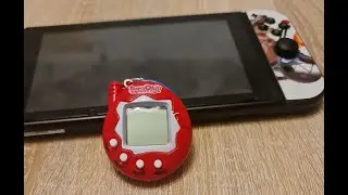 #Tamagotchi