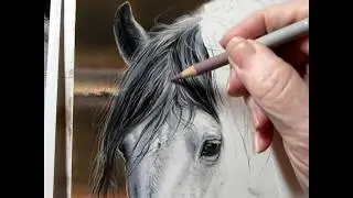 "Silver" the Wild Mustang Painting Demonstration