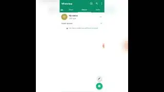 How to add Audio Status in WhatsApp
