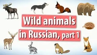 Wild animals in Russian. Part 1.