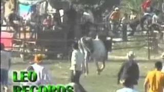 TORITO NEGRO
