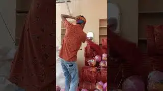 #rajputiculture #pagdi #funny #baisacollection #rajasthaniblog safa groom