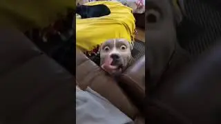 воттето видели
