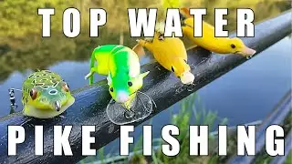 Topwater Lure Pike UK! Savage  Takes Using Ducks, Frogs, Bats, Rats