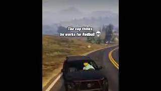 The cops in GTA V