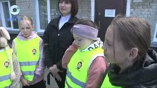Безопасное колесо 2024