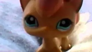 Lps besties series update