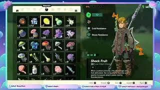 Zelda TOTK; Fairy Hunting!