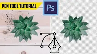 How to use the Pen Tool - Cut out objects or Remove Background in Photoshop - Tutorial