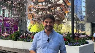 La experiencia del cliente es un ecosistema