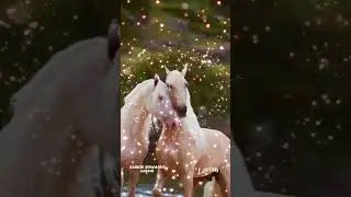 Не запрещай душе летать