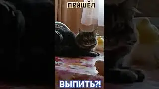 11 сентября 2024 г.