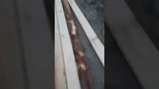 купил доску Первый сорт куб 25 000₽