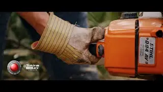 Martin & the Oak Tree: Tokina Cinema Footage SHOT on RED