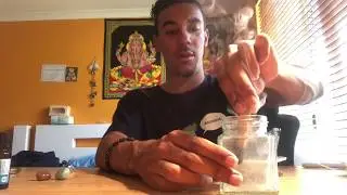 HONEY JAR SPELL FOR CONCENTRATION!