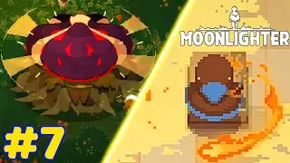 From Forest to Desert! | Moonlighter - Episode 7