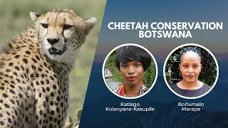 Working With Communities to Protect Botswana's Cheetahs | Wildlife Conservation Expo