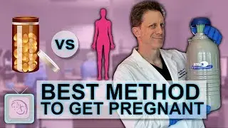 IVF Frozen embryo transfer - FET - What is the best way to prepare the uterus for success?