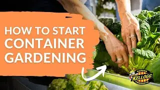 Beginner's Guide to Vegetable Gardening in Containers