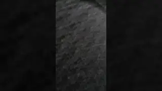 Ngentot ketahuan