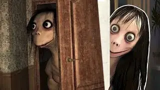 Momo gameplay // 🐾 A két 