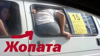 Эксклюзив с видеорегистратора.Буйная встряска - Жопата
