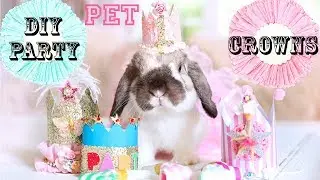 DIY Craft Party Crowns for PETS! Easy and Fun