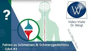 Chronischer Schmerz, das Schmerzgedächtnis, psychosomatische Schmerzen & Schmerztherapie ☎Q&A #3👥