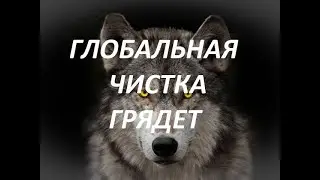 Мир осужден и спасение в наших руках