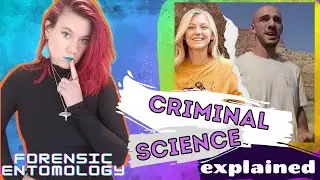 Can a Body Decompose in Four Weeks? || Forensic Entomology || Gabby Petito Case