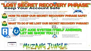 LOST SECRET RECOVERY PHRASE OF RONIN (What you can do?)
