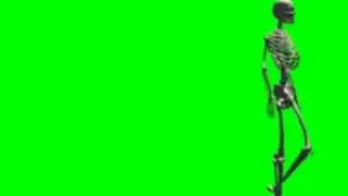 Animated Skeleton walking green screen video copyright free for Youtubers
