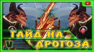 PALADINS. ГАЙД НА ДРОГОЗА. ЧТО БУДЕТ ЕСЛИ СТОЛКНУТСЯ ДВА ДРОГОЗА? (2018)