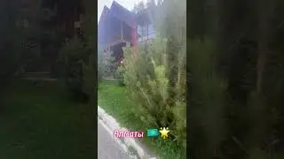 #Лесная сказка