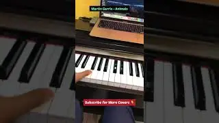 Martin Garrix - Animals (Piano Cover) 🔥 #shorts